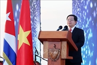 Deputy PM attends ceremony marking 65 years of Vietnam - Cuba diplomatic ties